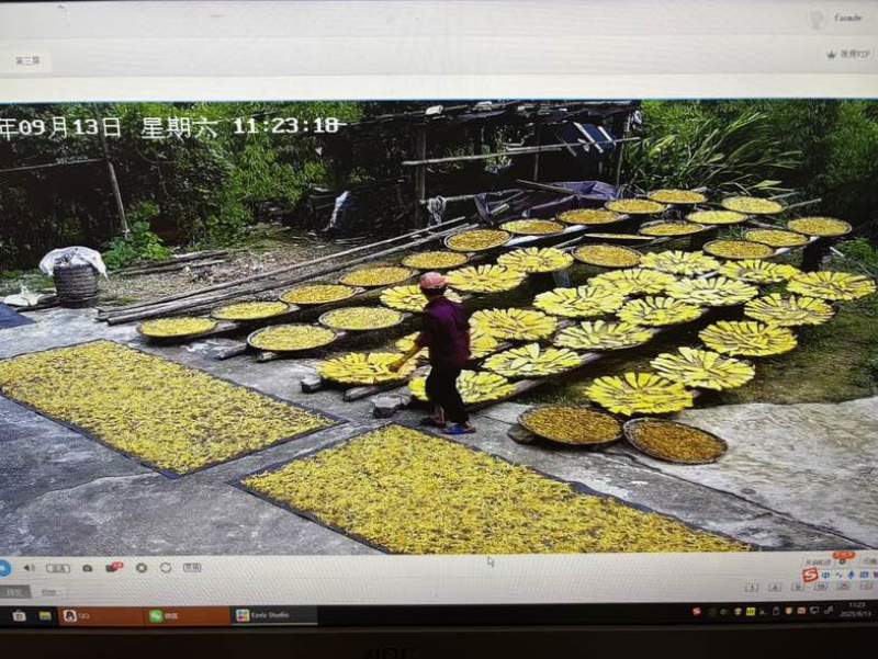 广西平南大鹏镇黄竹笋，自家种的，现在有400斤左右干货