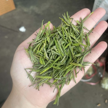 金香玉，安吉白茶升级版