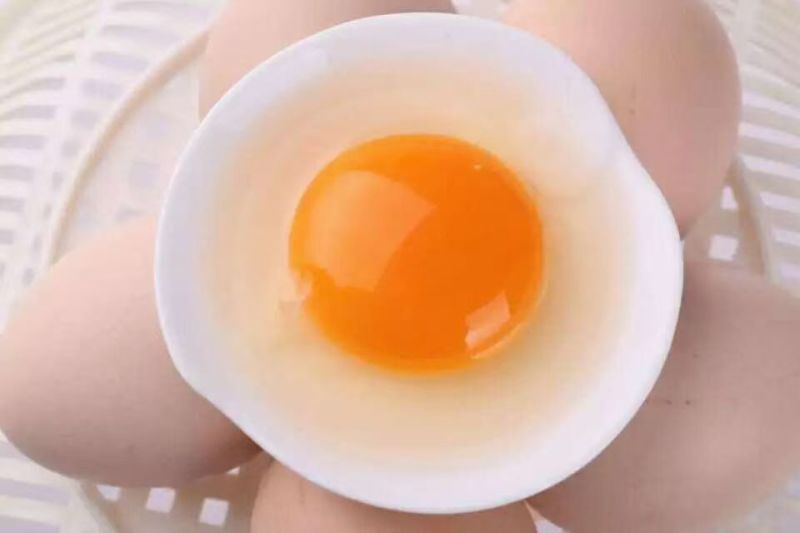 鸡蛋
