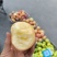 甘肃苹果和枣子
