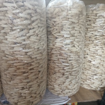 贵州红托竹荪