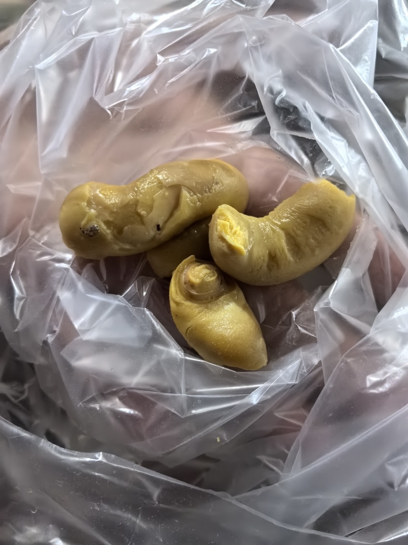 鸡宝