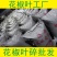 精品花椒叶杂质去净面食烙饼石子馍麻花直接用