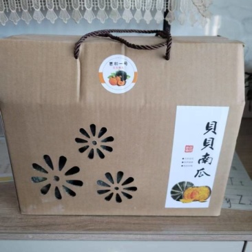 惠和一号贝贝南瓜