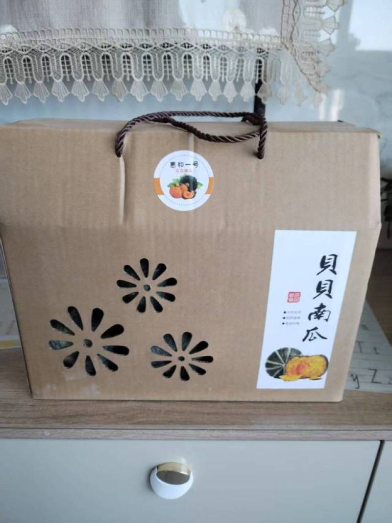 惠和一号贝贝南瓜