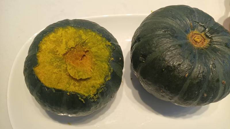 惠和一号贝贝南瓜