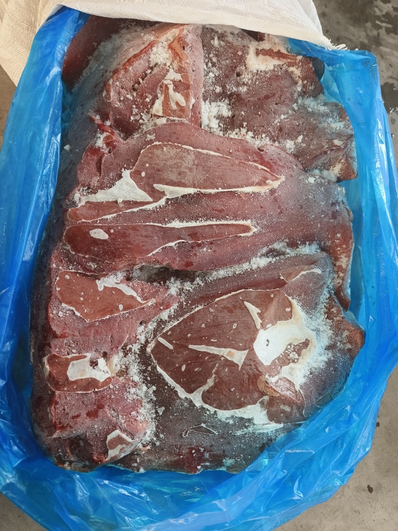 牛肝