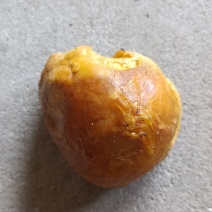 鸡宝