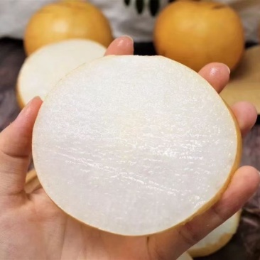圆黄梨