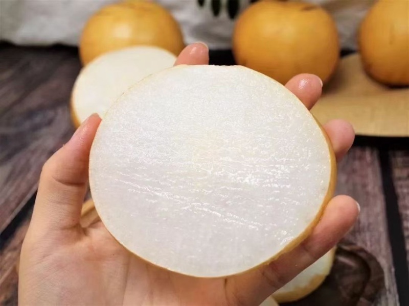 圆黄梨