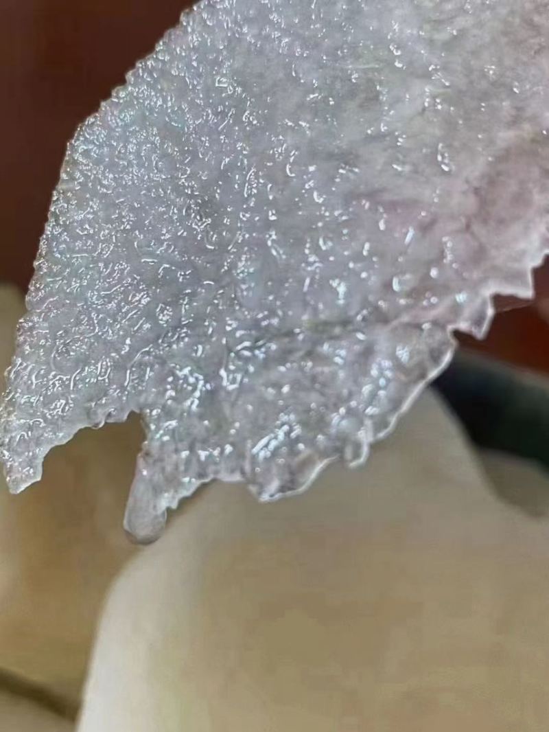 圆黄梨
