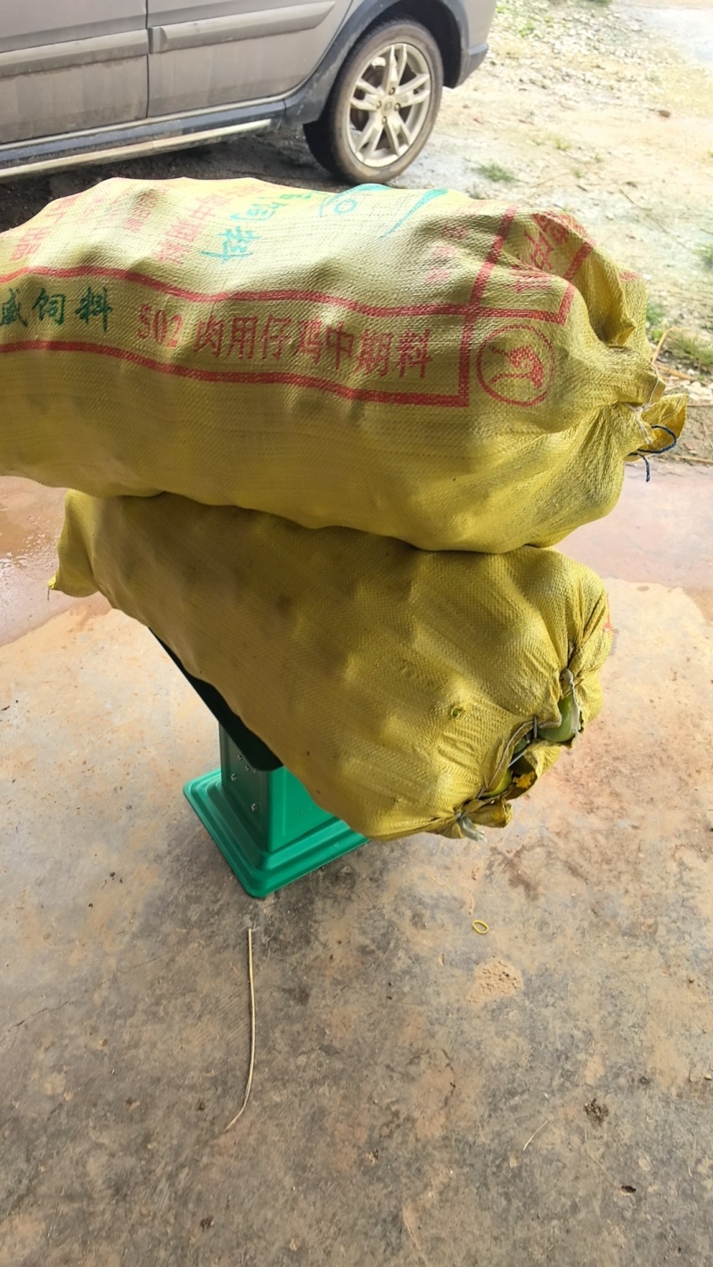 砚山黄金百香果