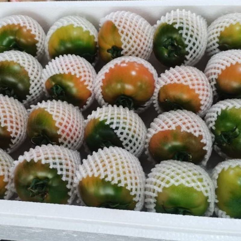 碱地柿子铁皮柿子绿腚柿子草莓柿子番茄