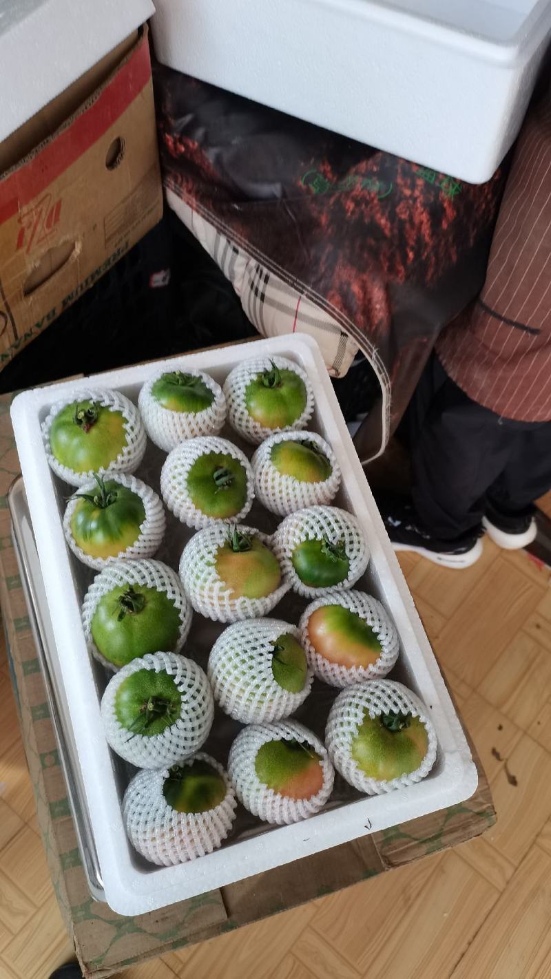 碱地柿子铁皮柿子绿腚柿子草莓柿子番茄