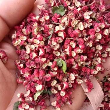 花椒