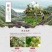 xi隰县玉露香梨