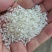 25年杂交米现货300吨可以做饭堂米，做酒，