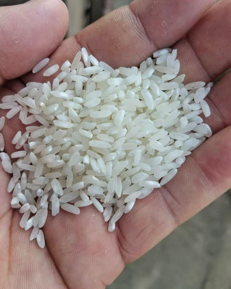 25年杂交米现货300吨可以做饭堂米，做酒，