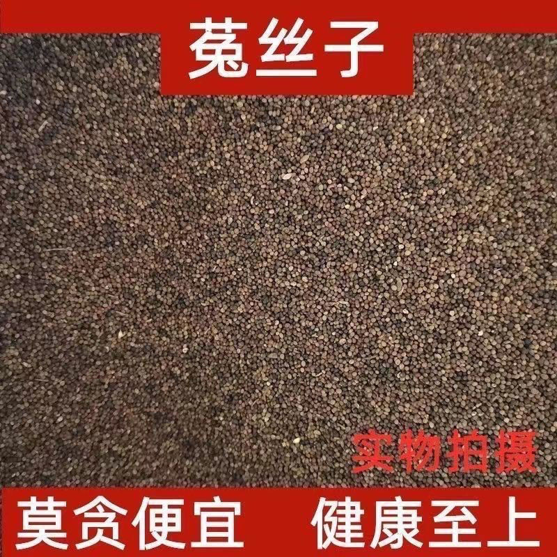 内蒙古野生冬菟丝子正宗中草药泡茶泡酒优质健康食补免洗正品