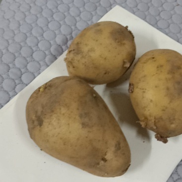 土豆