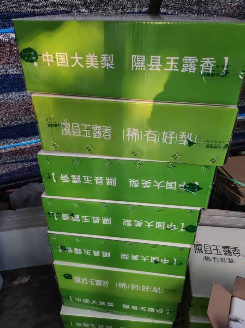 山西玉露香梨，富士苹果，雪花梨