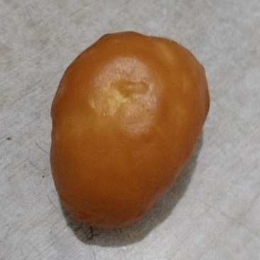 鸡宝