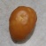 鸡宝