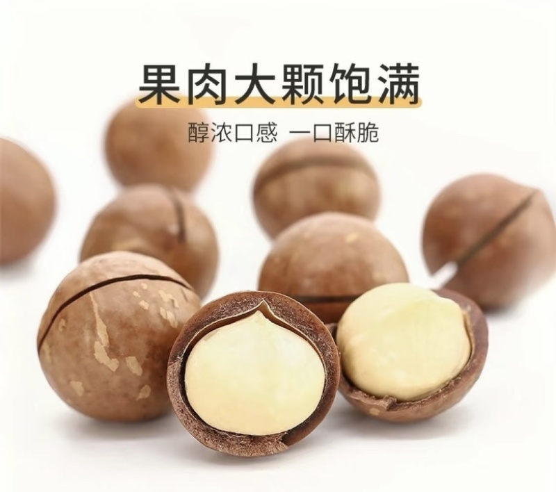 夏威夷果2025新果，电商一件代发，量大无忧，欢迎实地考察