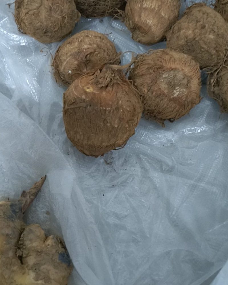 云南芋头