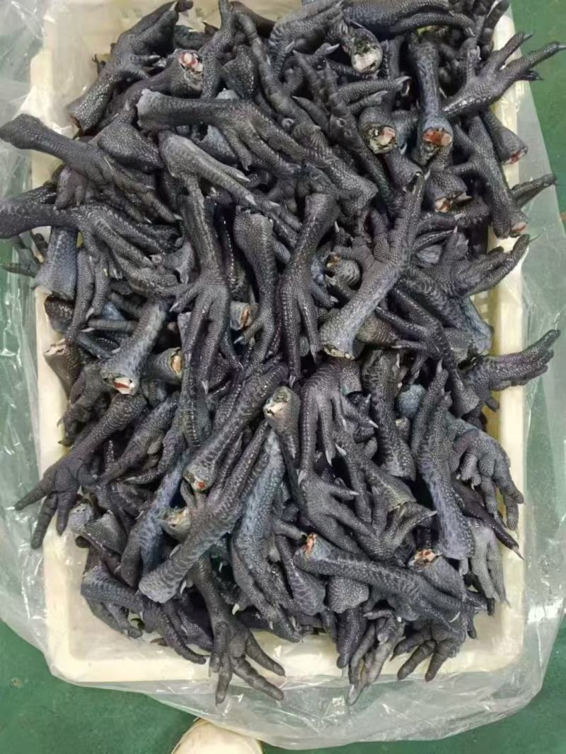 乌鸡爪30-40克的山东厂家直销质量保证价格实惠
