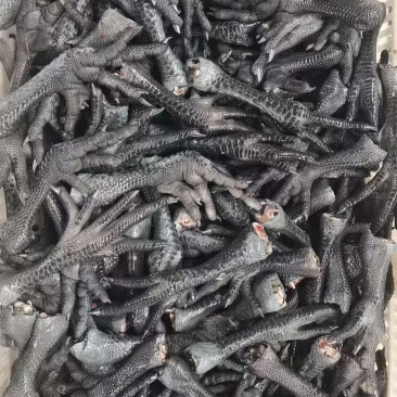 乌鸡爪30-40克的山东厂家直销质量保证价格实惠