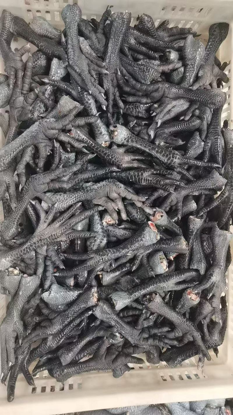 乌鸡爪30-40克的山东厂家直销质量保证价格实惠