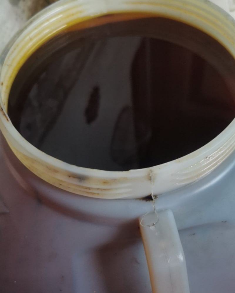 菜子油农村自种