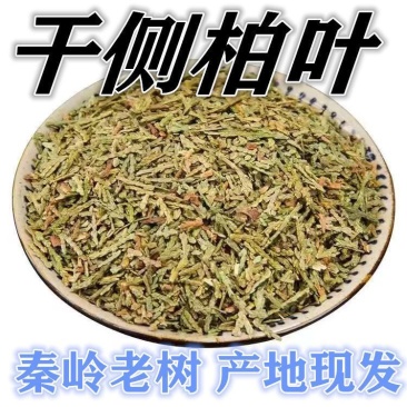 侧柏叶纯叶***秦岭野生老树脱发侧柏叶新鲜无硫晒干散装