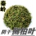 侧柏叶纯叶***秦岭野生老树脱发侧柏叶新鲜无硫晒干散装