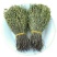 野生独脚金草疳积草小儿开胃汤包短脚独角金新鲜干货煲汤中药材