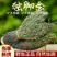 野生独脚金草疳积草小儿开胃汤包短脚独角金新鲜干货煲汤中药材