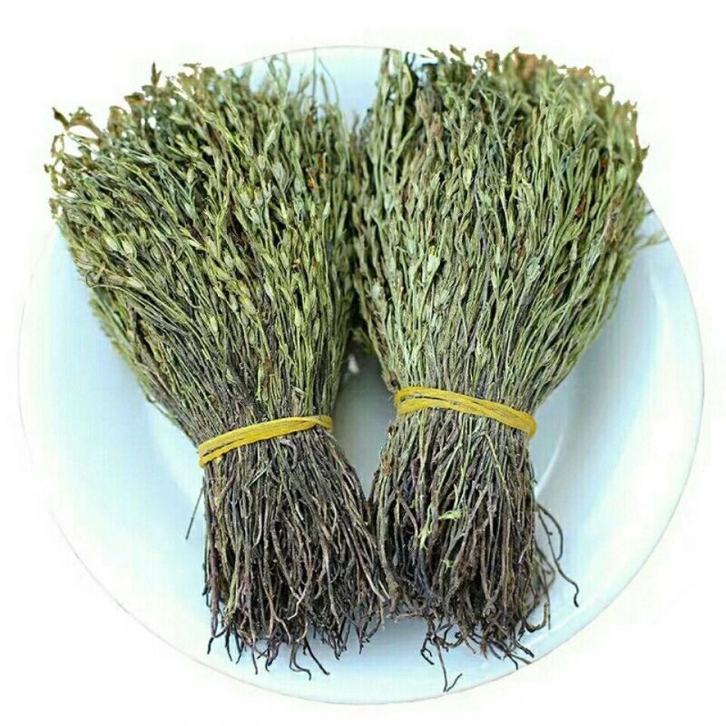 野生独脚金草疳积草小儿开胃汤包短脚独角金新鲜干货煲汤中药材