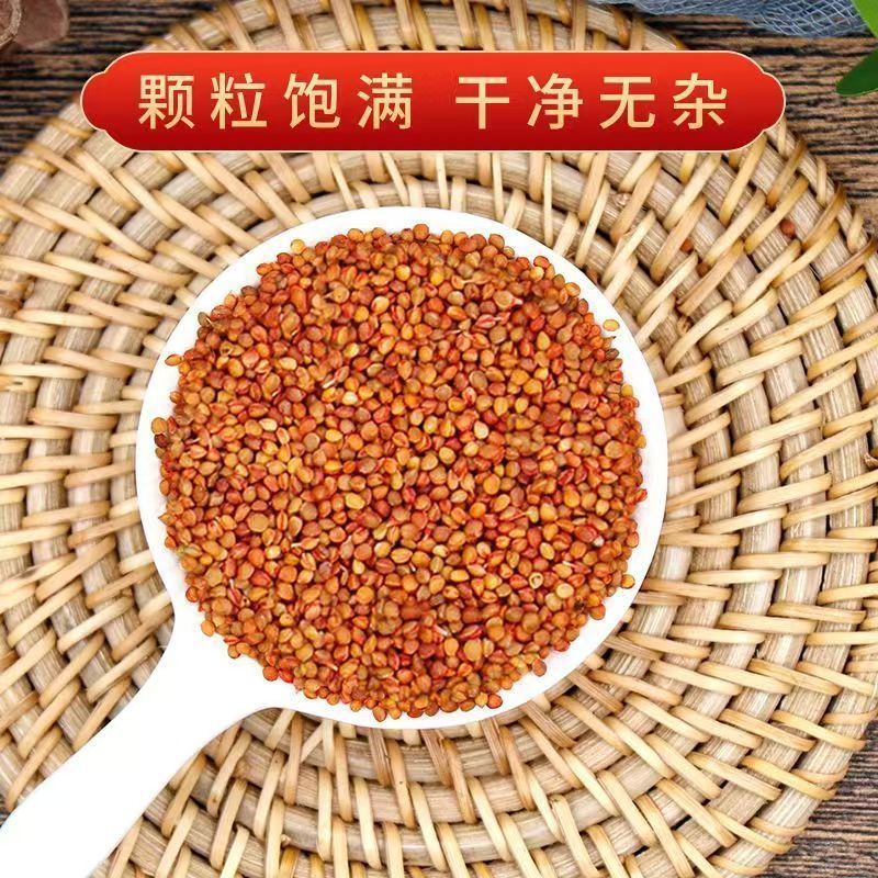 正宗楮实子优质精选好货野生特级中药材新鲜干净批发无硫包邮