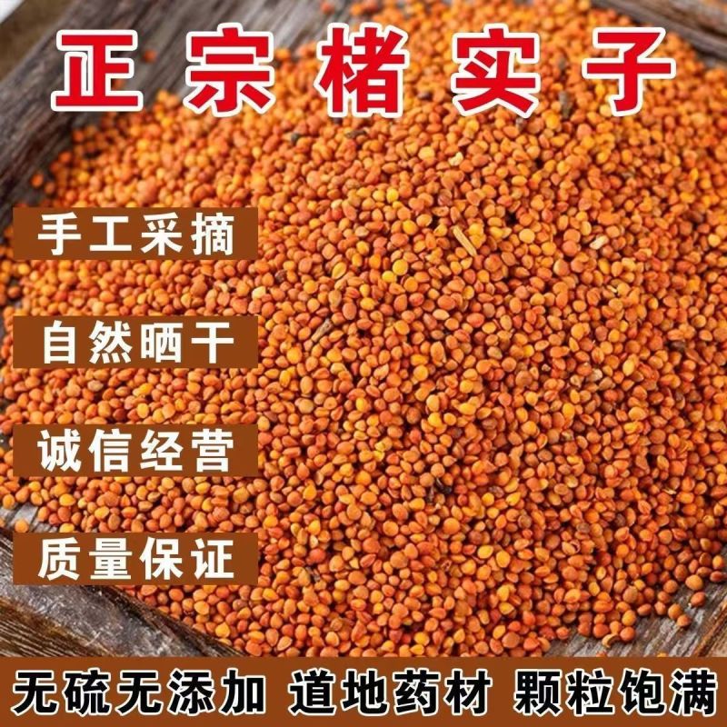 正宗楮实子优质精选好货野生特级中药材新鲜干净批发无硫包邮