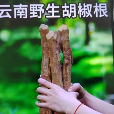 出售云南野生木姜子根