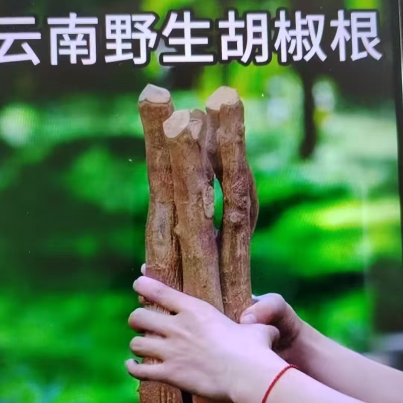 出售云南野生木姜子根