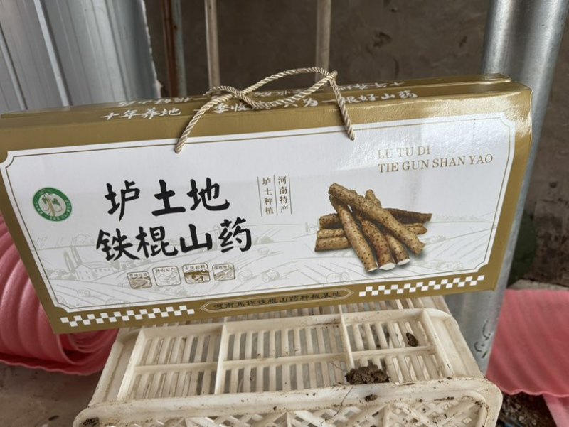 河南温县铁棍山药