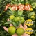 广西大山里的密桔