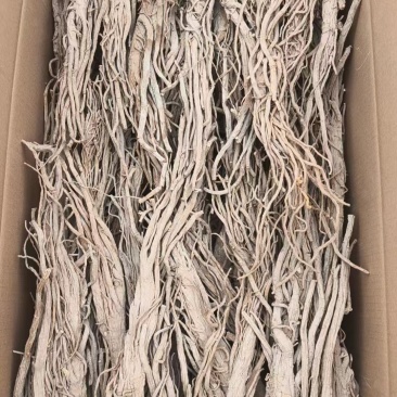无硫独活跑江湖地摊产品味道浓郁