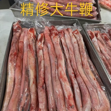 精修单根牛鞭