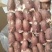 一级大鸭心山东厂家直销质量保证售后无忧