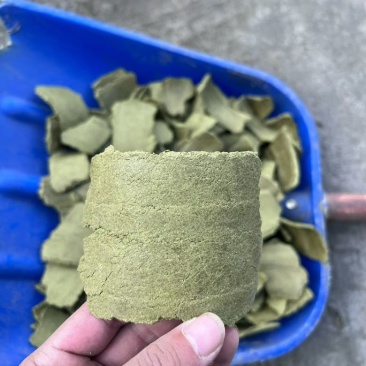 孜然饼，绿色，黄色，黄绿色
