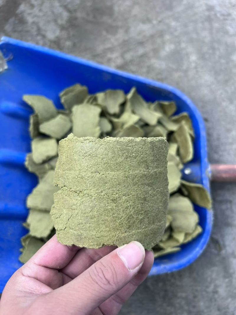 孜然饼，绿色，黄色，黄绿色