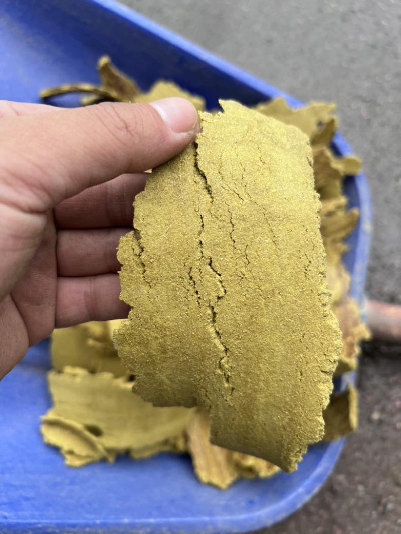 孜然饼，绿色，黄色，黄绿色